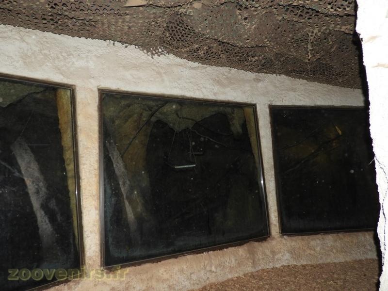 Roussette d' Egypte - 2016