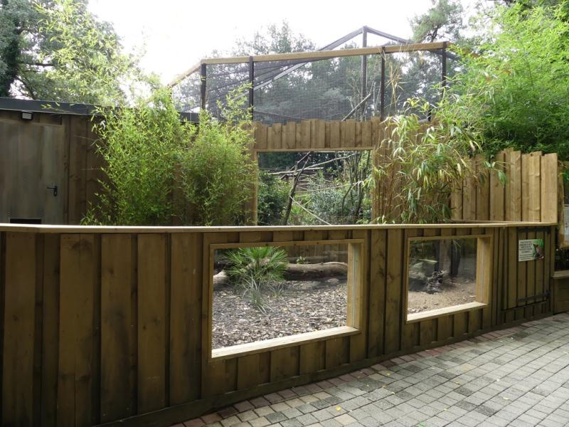 Tatou à 6 bandes - 2021