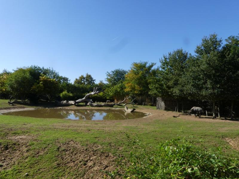 Plaine asiatique - 2021