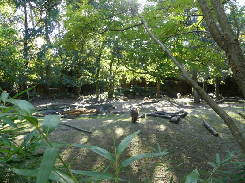 Pampa argentine - 2021