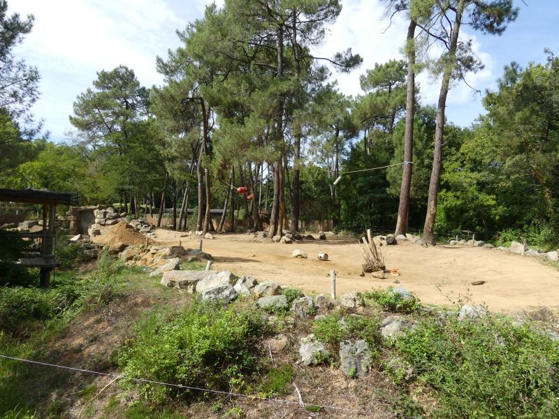 Eléphant d'Afrique - 2021