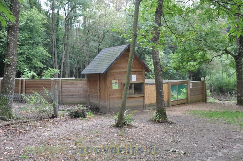 Loutre d'Europe - 2015