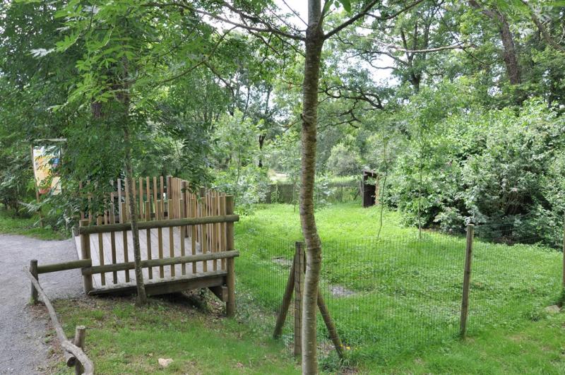 Grue du Japon - 2012