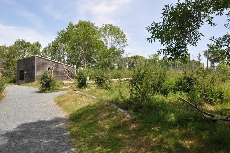 Parc des lémuriens - 2012