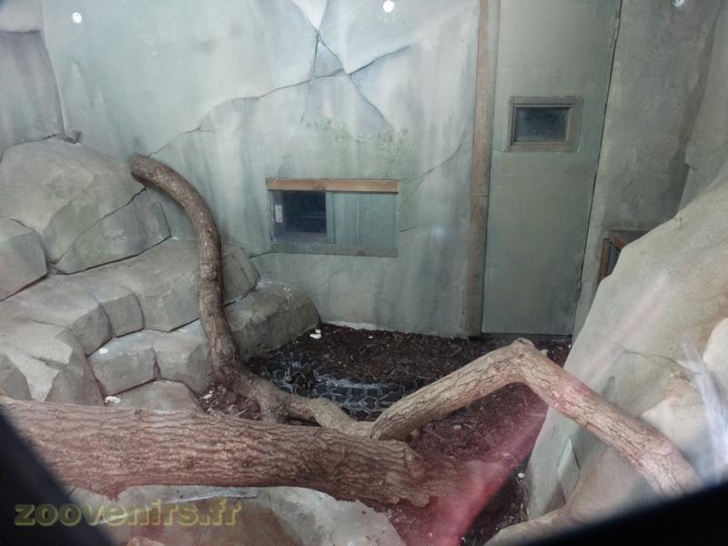 Python molure - 2017