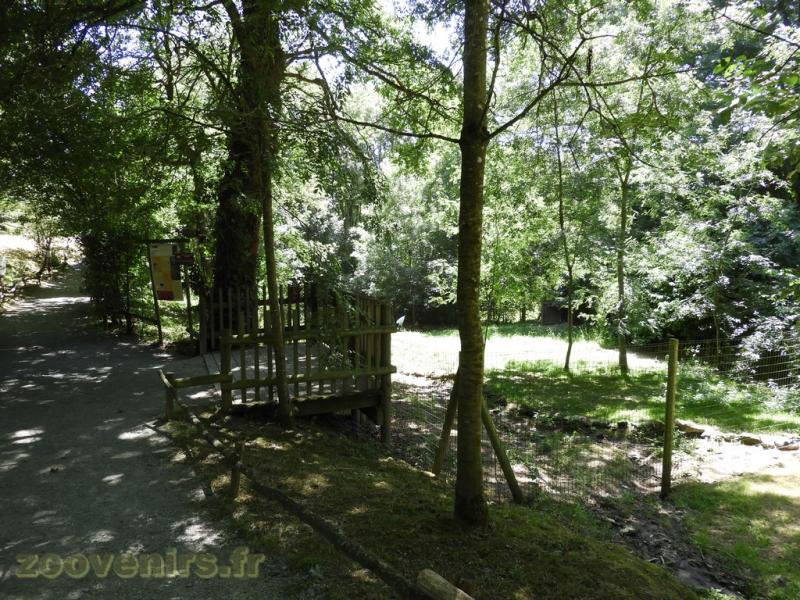 Grue du Japon - 2017