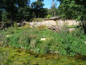 Loutre à griffes courtes