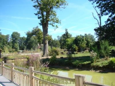 Lémur à front blanc - 2012