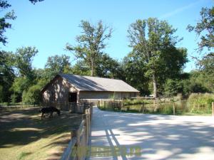 Mini-ferme  