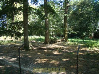 Loup d'Europe - 2012