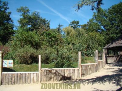 Coati à nez blanc - 2012