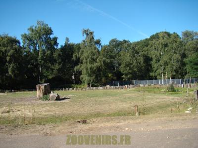 Rhinocéros blanc - 2012