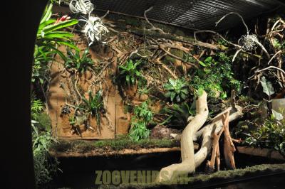 Parcours de visite - 2012