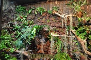 Vivarium