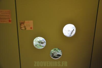 Rat des moissons - 2012