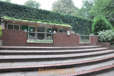 Tortue géante d'Aldabra