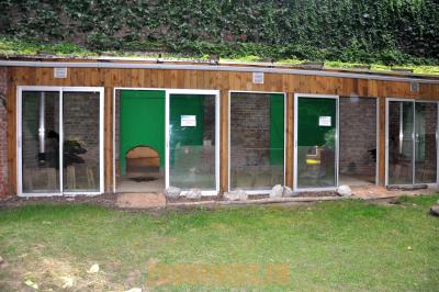 Tortue géante d'Aldabra