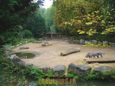 Parc africain