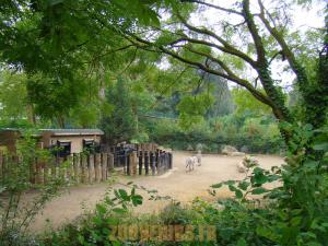 Parc africain