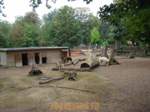 Parc américain