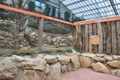 Renard voland de Lyle