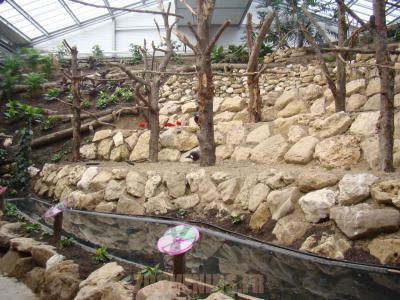 Volière des oiseaux 