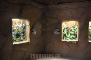 Terrariums
