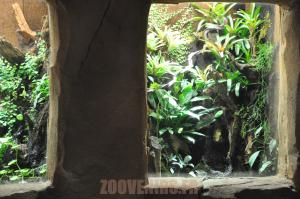 Terrariums