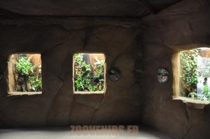 Terrariums