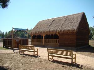 Mini-ferme