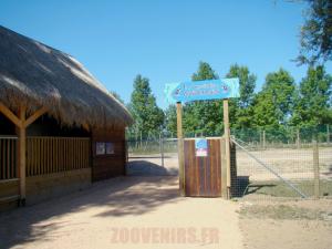 Kangourou