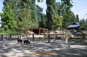 Ferme pédagogique