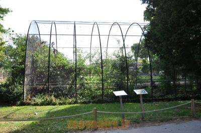 Aigrette - Ibis - Héron bihoreaux