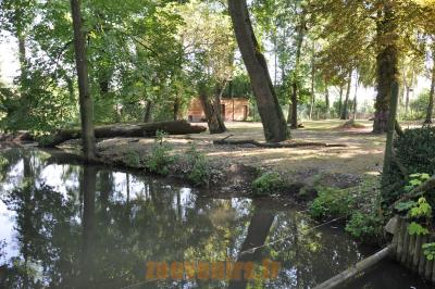Tapir terrestre et des Capybara