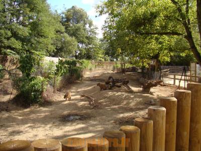 Pampa sud-américaine - 2010