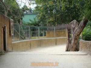 Ours malais