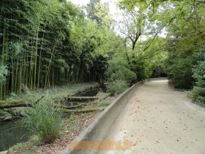 Ruisseau des Anatidés