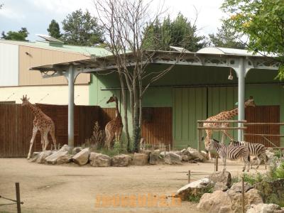 Bâtiment de nuit - 2010