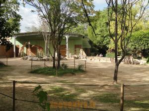 Plaine africaine