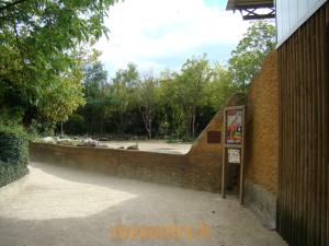 Plaine africaine