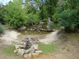 Tortues 