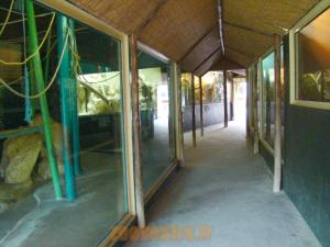 Maison des "Grands singes"