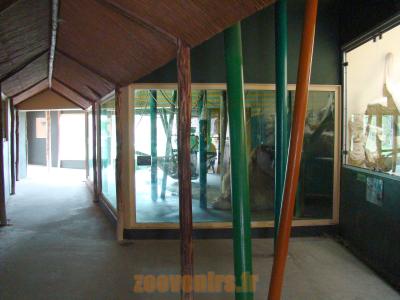 Maison des "Grands singes" - 2010