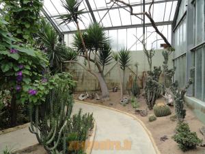 Serre tropicale