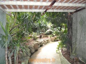 Serre tropicale