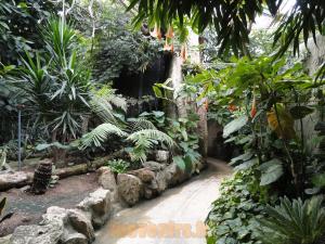 Serre tropicale