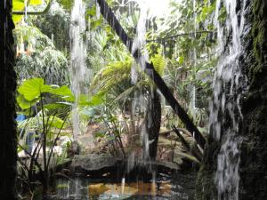 Serre tropicale