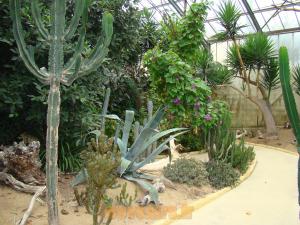 Serre tropicale