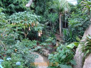 Serre tropicale
