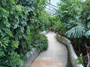 Serre tropicale